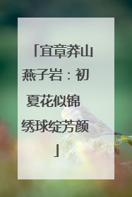 宜章莽山燕子岩：初夏花似锦 绣球绽芳颜