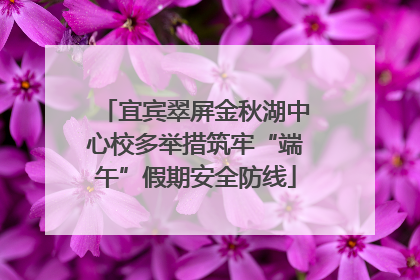 宜宾翠屏金秋湖中心校多举措筑牢“端午”假期安全防线