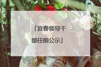 宜春领导干部任前公示