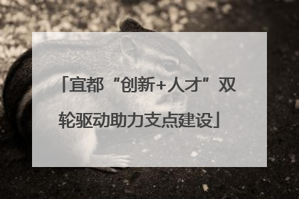 宜都“创新+人才”双轮驱动助力支点建设