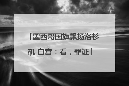 墨西哥国旗飘扬洛杉矶 白宫：看，罪证