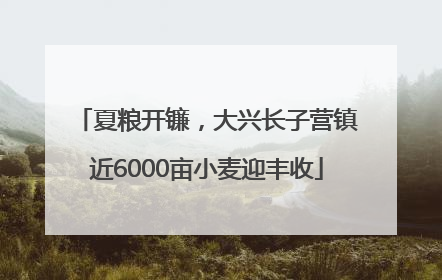 夏粮开镰，大兴长子营镇近6000亩小麦迎丰收