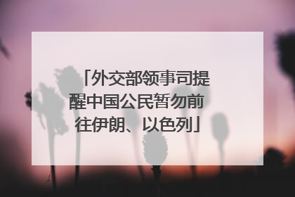 外交部领事司提醒中国公民暂勿前往伊朗、以色列