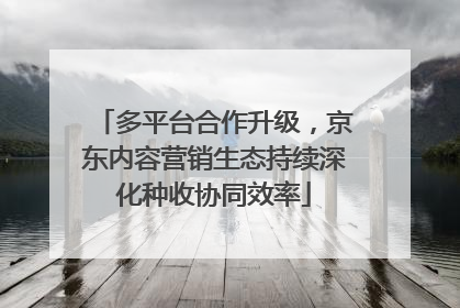 多平台合作升级，京东内容营销生态持续深化种收协同效率