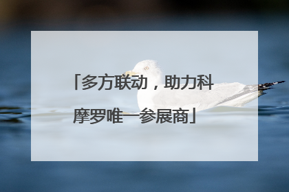 多方联动，助力科摩罗唯一参展商