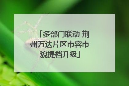 多部门联动 荆州万达片区市容市貌提档升级