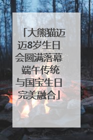 大熊猫迈迈8岁生日会圆满落幕 端午传统与国宝生日完美融合