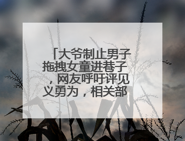 大爷制止男子拖拽女童进巷子，网友呼吁评见义勇为，相关部门：正走程序
