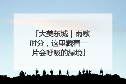 大美东城｜雨歇时分，这里藏着一片会呼吸的绿境
