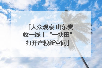 大众观察·山东麦收一线丨“一块田”打开产粮新空间