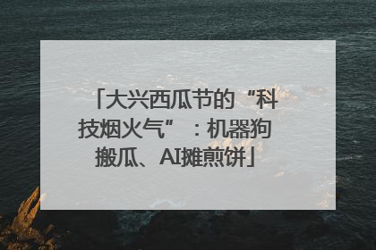 大兴西瓜节的“科技烟火气”：机器狗搬瓜、AI摊煎饼