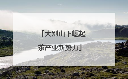 大别山下崛起茶产业新势力