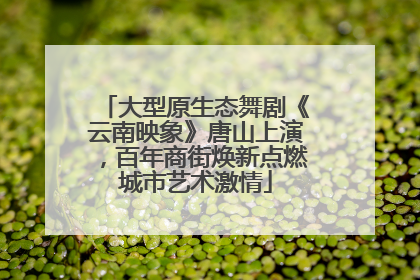 大型原生态舞剧《云南映象》唐山上演，百年商街焕新点燃城市艺术激情