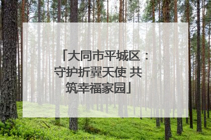 大同市平城区：守护折翼天使 共筑幸福家园