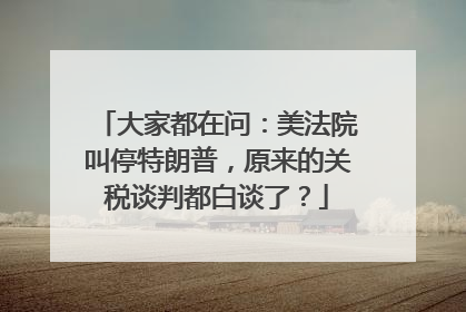大家都在问：美法院叫停特朗普，原来的关税谈判都白谈了？
