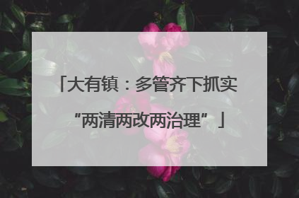 大有镇：多管齐下抓实“两清两改两治理”
