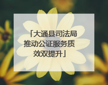 大通县司法局推动公证服务质效双提升
