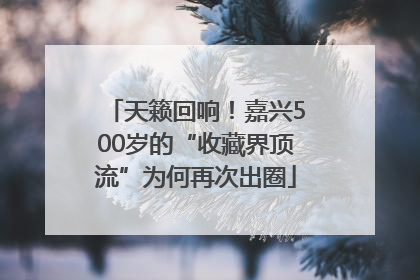 天籁回响！嘉兴500岁的“收藏界顶流”为何再次出圈