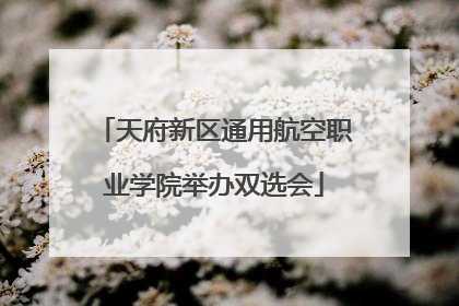 天府新区通用航空职业学院举办双选会