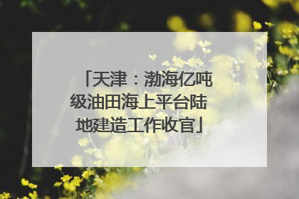 天津：渤海亿吨级油田海上平台陆地建造工作收官