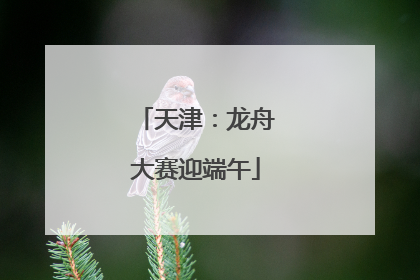 天津：龙舟大赛迎端午