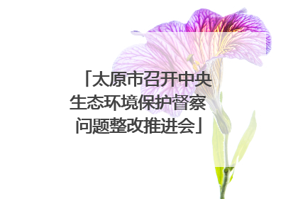 太原市召开中央生态环境保护督察问题整改推进会
