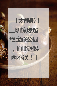 太酷啦！三明惊现超绝宝藏公园，拍照遛娃两不误！