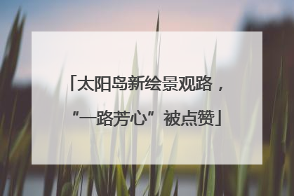 太阳岛新绘景观路，“一路芳心”被点赞