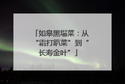 如皋黑塌菜：从“霜打趴菜”到“长寿金叶”