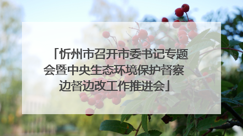 忻州市召开市委书记专题会暨中央生态环境保护督察边督边改工作推进会