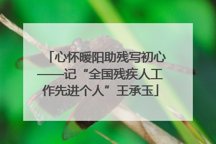 心怀暖阳助残写初心——记“全国残疾人工作先进个人”王承玉