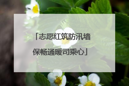 志愿红筑防汛墙 保畅通暖司乘心