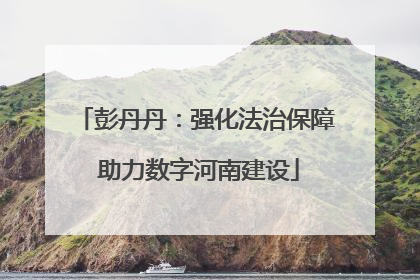 彭丹丹：强化法治保障 助力数字河南建设