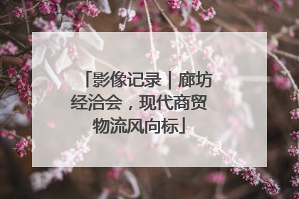 影像记录｜廊坊经洽会，现代商贸物流风向标