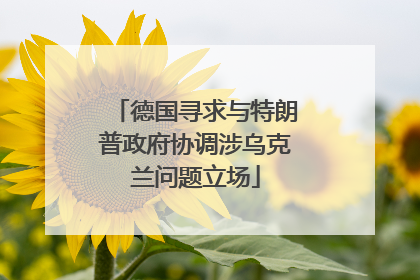 德国寻求与特朗普政府协调涉乌克兰问题立场