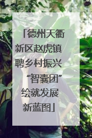 德州天衢新区赵虎镇聘乡村振兴“智囊团” 绘就发展新蓝图