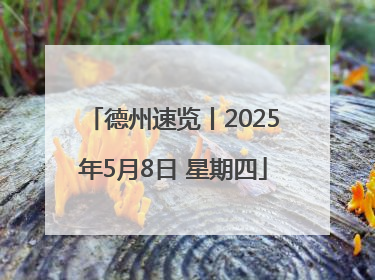 德州速览丨2025年5月8日 星期四