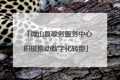 微山县政务服务中心积极推动数字化转型