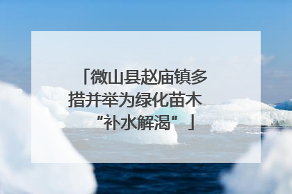 微山县赵庙镇多措并举为绿化苗木“补水解渴”