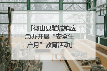 微山县驩城镇应急办开展“安全生产月”教育活动