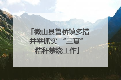 微山县鲁桥镇多措并举抓实 “三夏” 秸秆禁烧工作