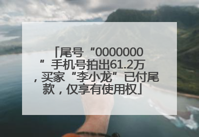 尾号“0000000”手机号拍出61.2万，买家“李小龙”已付尾款，仅享有使用权