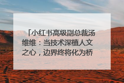 小红书高级副总裁汤维维：当技术深植人文之心，边界终将化为桥梁｜聚焦2025文化强国建设高峰论坛