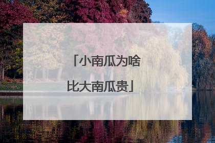 小南瓜为啥比大南瓜贵
