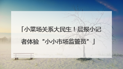 小菜场关系大民生！晨报小记者体验“小小市场监管员”