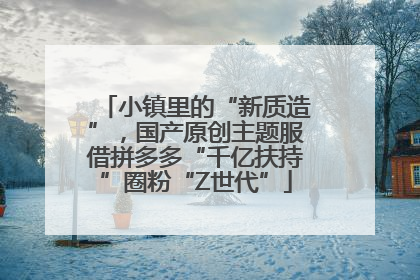 小镇里的“新质造”，国产原创主题服借拼多多“千亿扶持”圈粉“Z世代”