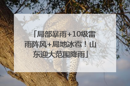 局部暴雨+10级雷雨阵风+局地冰雹！山东迎大范围降雨