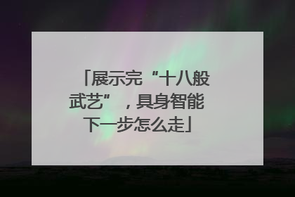 展示完“十八般武艺”，具身智能下一步怎么走