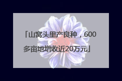 山窝头里产良种，600多亩地增收近20万元