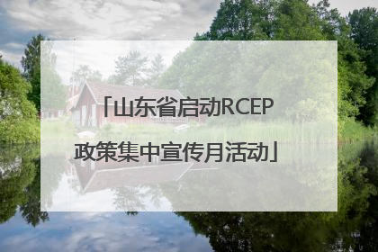 山东省启动RCEP政策集中宣传月活动